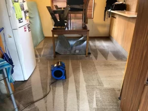 Dining room carpet cleaning after