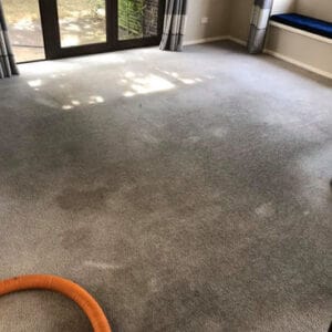 Carpet cleaning before