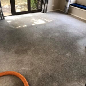 A before and after view of carpet cleaning, showing visible differences in cleanliness.