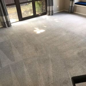 Professionally cleaned carpet in a residential living room.