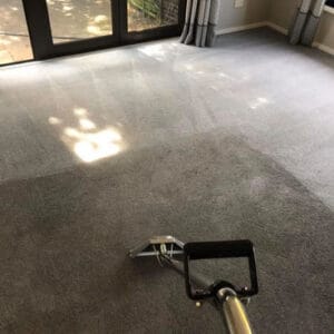 Carpet being cleaned with professional equipment, showing visible improvements.