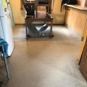 Residential carpet with visible dirt and wear before professional cleaning.