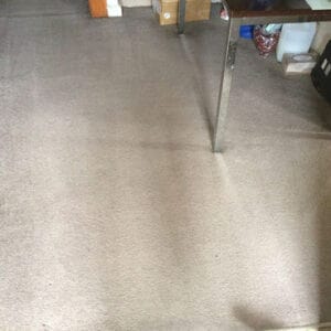 Carpet cleaned with heavy-duty equipment for a fresh and sanitized result.