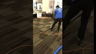 Carpet cleaning in a coffee shop using specialized commercial equipment.