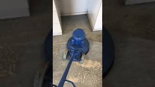 Floor scrubbing cleaning services
