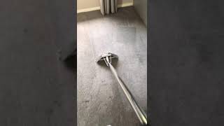 Carpet cleaning service in progress using professional equipment.