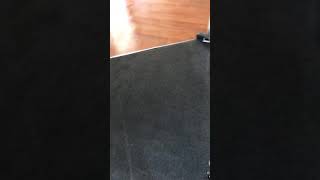 A freshly cleaned carpet showing excellent results after professional cleaning.