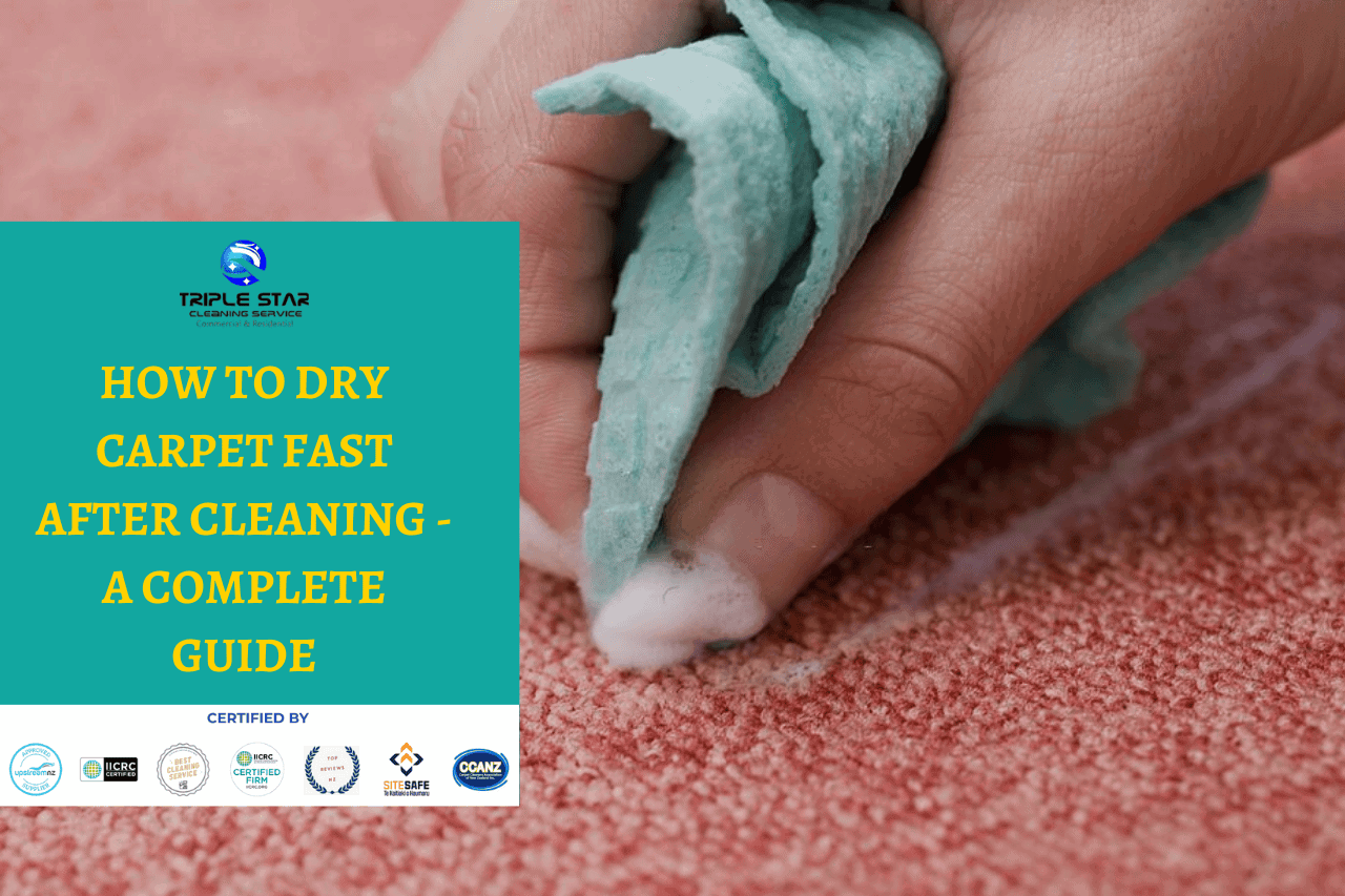 how to dry carpet fast after cleaning