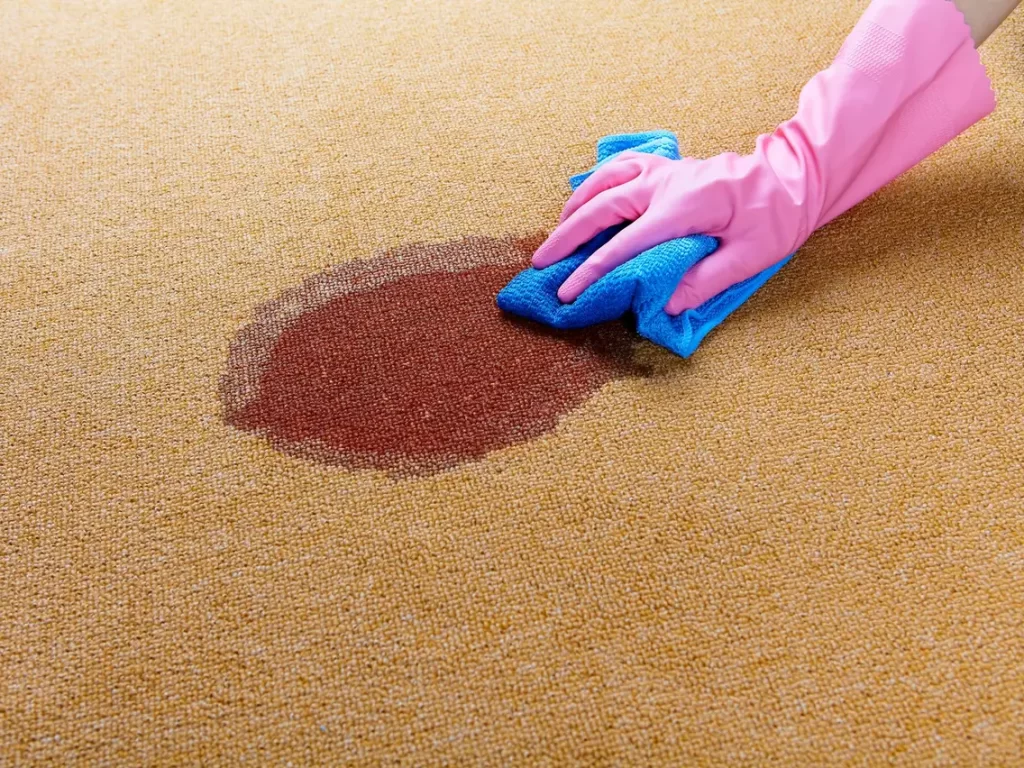 cleaning carpet Stain Without Steam Cleaner