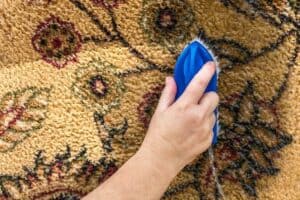 Best Way To Clean Carpets Without Machine
