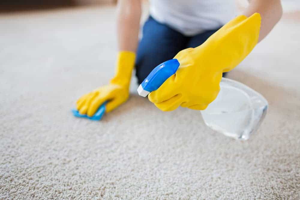 Carpet Steam Cleaning Lexington Ky