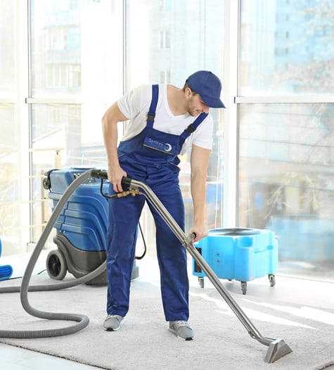 Top 6 Benefits Of Hiring A Professional Carpet Cleaner For Your Apartment Triple Star Commercial Cleaning Services In Christchurch