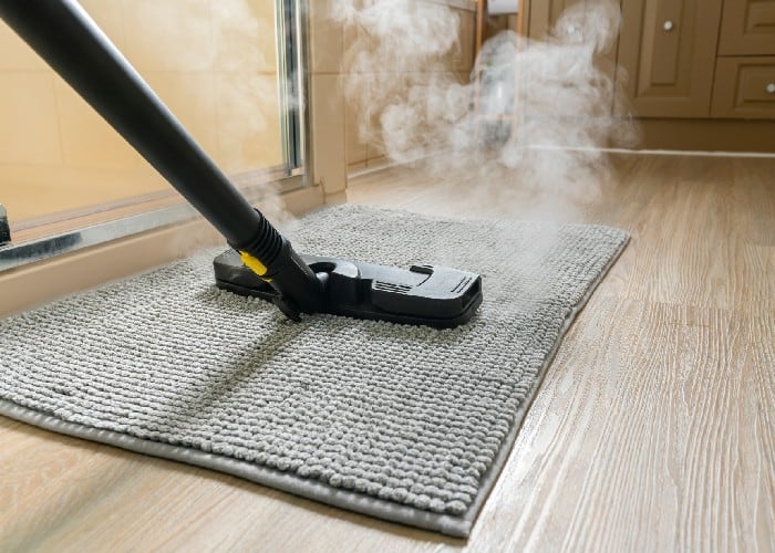 Carpet sanitization with steam cleaner