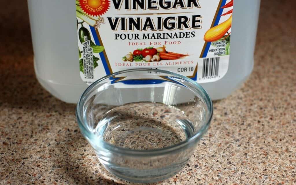 Vinegar to Clean Carpet