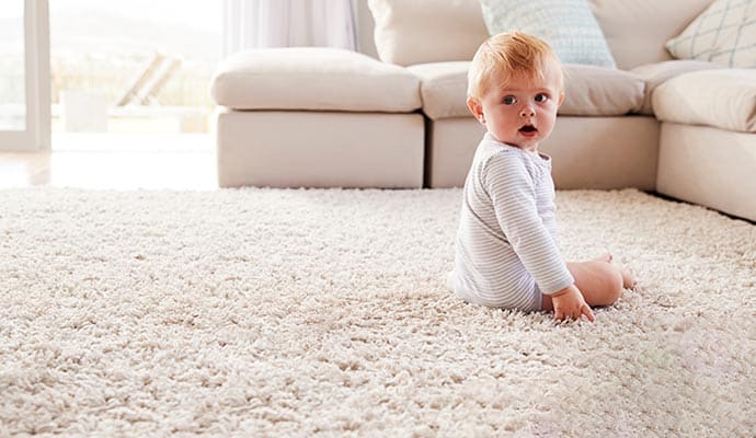 Eco-Friendly Carpet Cleaning