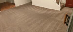 Cleaned carpet in a residential living room with staircase