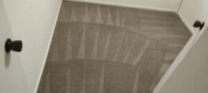 Small room with professionally cleaned carpet showing arched patterns
