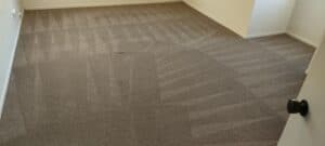 Empty room with freshly steam-cleaned medium brown carpet