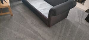 Freshly steam-cleaned carpet in a lounge area next to a dark couch
