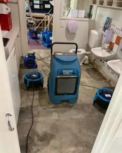 Wet carpet drying process using professional equipment in Christchurch